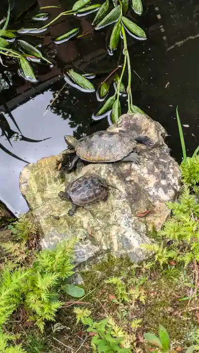 宝蔵寺(京都府)