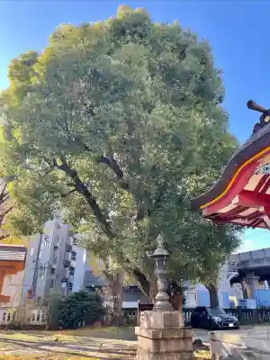 大森神社(東京都)
