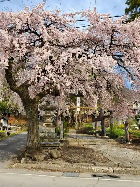 山家神社の自然