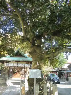 金札宮のその他建物