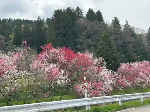 御田神社(富山県)
