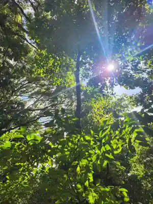 安養寺（立木観音）の自然