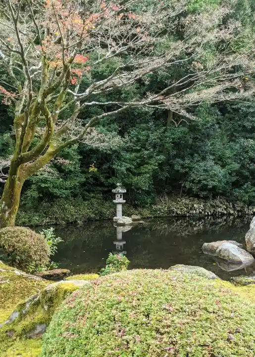 知恩院(京都府)