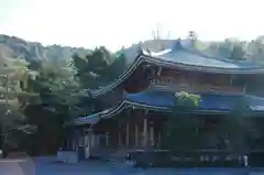 知恩院の建物その他