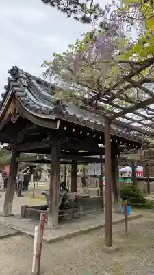 葛井寺(大阪府)