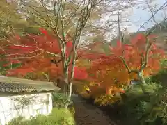 金剛院(京都府)