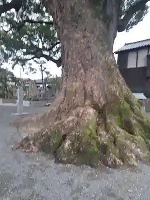 安長寺(福岡県)