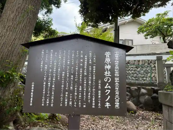 菅原神社(神奈川県)