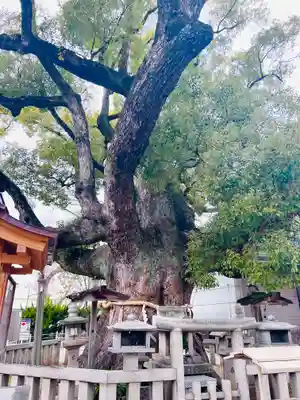 杭全神社(大阪府)