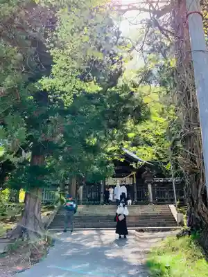 諏訪大社上社前宮(長野県)