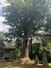 松山神社(千葉県)