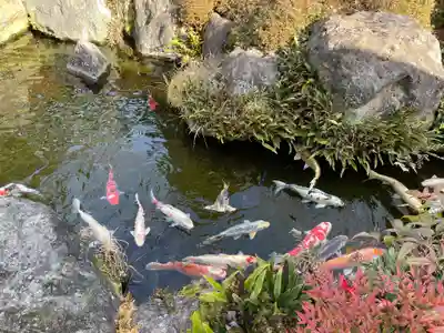 瑞光院(京都府)