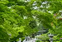 大山阿夫利神社の自然