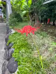 横浜御嶽神社(神奈川県)