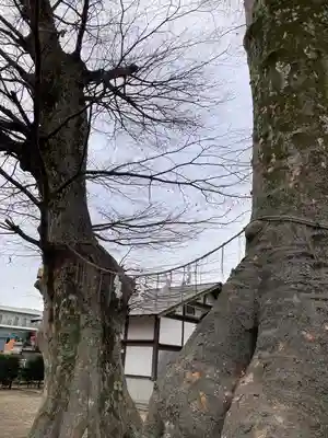 八枝神社(埼玉県)