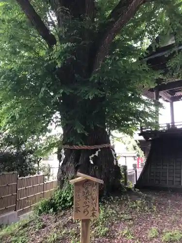 北向観音の{uncategorized: "未分類", other: "その他", undefined: "問題あり", building: "その他建物", grave: "お墓", sacred_gate: "鳥居", guardian: "狛犬", statue: "像", buddha: "仏像", history: "歴史", nature: "自然", garden: "庭園", animal: "動物", pagoda: "塔", temizu: "手水舎", mountain_gate: "山門・神門", sanctuary: "本殿・本堂", subordinate: "末社・摂社", art: "芸術", scenery: "景色", jizo: "地蔵", ema: "絵馬", goshuin: "御朱印", omikuji: "おみくじ", items: "授与品その他", amulet: "お守り", goshuincho: "御朱印帳", eats: "食事", festival: "お祭り", votive_dance: "神楽", shichigosan: "七五三参", wedding: "結婚式", experience: "体験その他", initially: "初詣", around: "周辺", anti_infection: "感染症対策"}