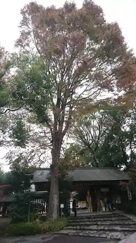 阿佐ヶ谷神明宮の山門・神門