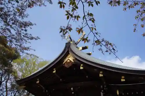 東村山八坂神社(東京都)