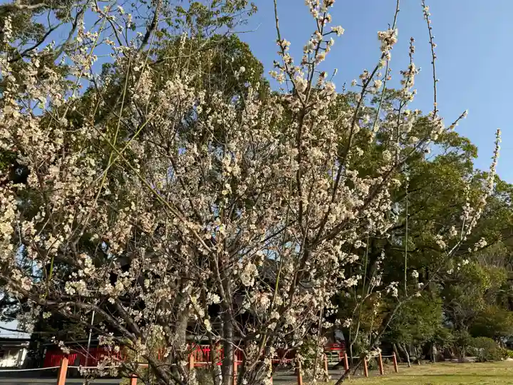 美奈宜神社(福岡県)