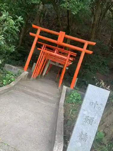 村尾稲荷神社の鳥居