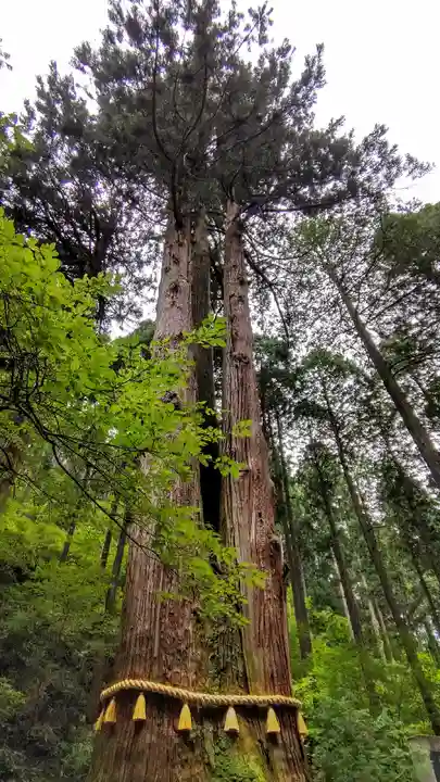 御岩神社(茨城県)