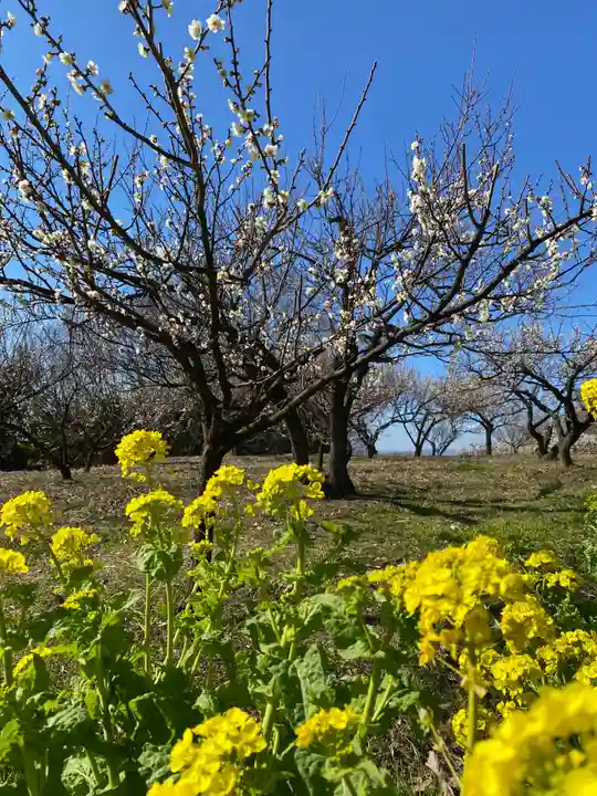 神前神社(岡山県)