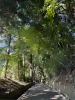 中尊寺(岩手県)