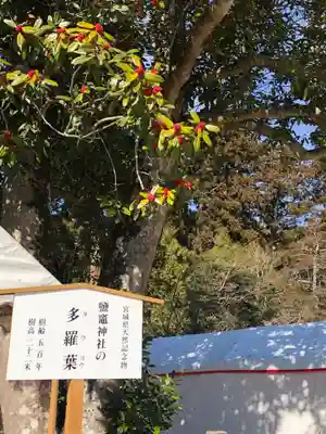 志波彦神社・鹽竈神社のその他建物