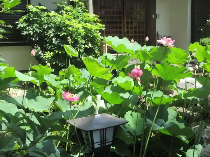 普門院(神奈川県)