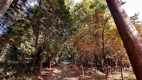 愛宕神社(滋賀県)