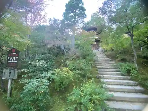 常寂光寺の{uncategorized: "未分類", other: "その他", undefined: "問題あり", building: "その他建物", grave: "お墓", sacred_gate: "鳥居", guardian: "狛犬", statue: "像", buddha: "仏像", history: "歴史", nature: "自然", garden: "庭園", animal: "動物", pagoda: "塔", temizu: "手水舎", mountain_gate: "山門・神門", sanctuary: "本殿・本堂", subordinate: "末社・摂社", art: "芸術", scenery: "景色", jizo: "地蔵", ema: "絵馬", goshuin: "御朱印", omikuji: "おみくじ", items: "授与品その他", amulet: "お守り", goshuincho: "御朱印帳", eats: "食事", festival: "お祭り", votive_dance: "神楽", shichigosan: "七五三参", wedding: "結婚式", experience: "体験その他", initially: "初詣", around: "周辺", anti_infection: "感染症対策"}