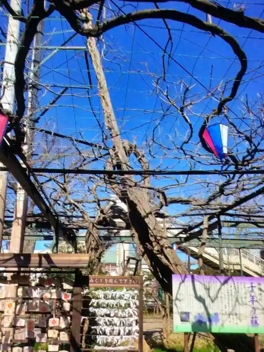 國領神社(東京都)