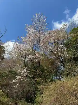 霞神社(東京都)
