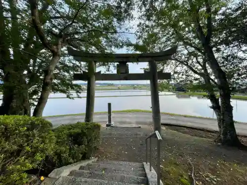 八幡神社 (山本)の{uncategorized: "未分類", other: "その他", undefined: "問題あり", building: "その他建物", grave: "お墓", sacred_gate: "鳥居", guardian: "狛犬", statue: "像", buddha: "仏像", history: "歴史", nature: "自然", garden: "庭園", animal: "動物", pagoda: "塔", temizu: "手水舎", mountain_gate: "山門・神門", sanctuary: "本殿・本堂", subordinate: "末社・摂社", art: "芸術", scenery: "景色", jizo: "地蔵", ema: "絵馬", goshuin: "御朱印", omikuji: "おみくじ", items: "授与品その他", amulet: "お守り", goshuincho: "御朱印帳", eats: "食事", festival: "お祭り", votive_dance: "神楽", shichigosan: "七五三参", wedding: "結婚式", experience: "体験その他", initially: "初詣", around: "周辺", anti_infection: "感染症対策"}