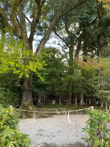 八坂神社(祇園さん)の自然