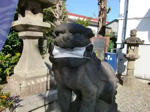 白鬚神社の狛犬