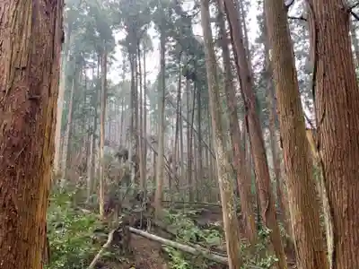 妙弘寺のその他建物
