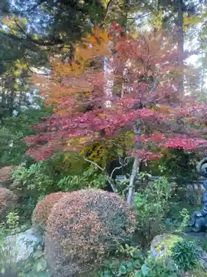 龍潭寺(静岡県)