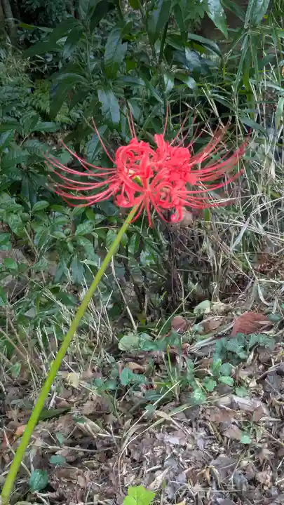 寂光院(京都府)