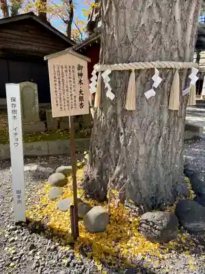 取手八坂神社(茨城県)