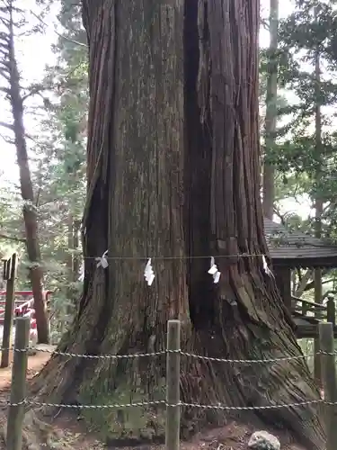 鷲子山上神社の自然