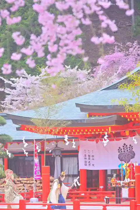 金櫻神社(山梨県)