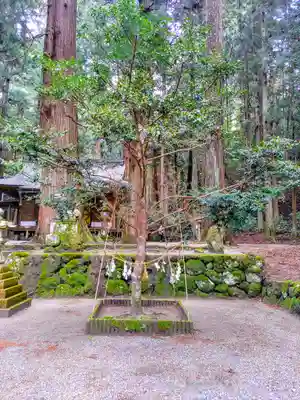 室生龍穴神社の自然