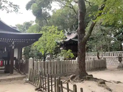菊水天満神社（湊川神社末社）(兵庫県)