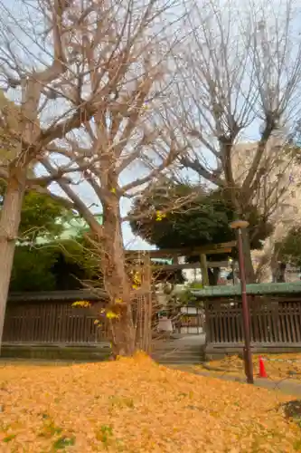 牛嶋神社の自然