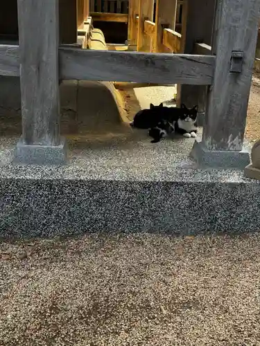 松江城山稲荷神社(島根県)