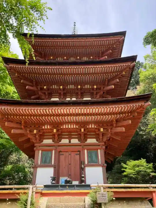 浄瑠璃寺(京都府)