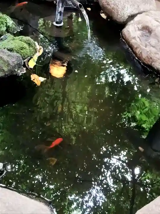 神明氷川神社(東京都)