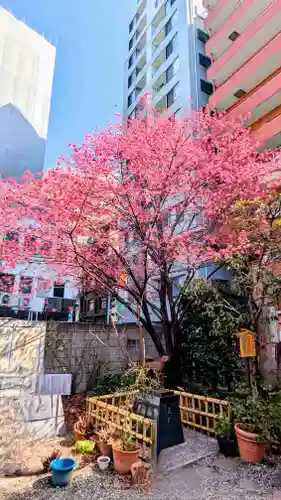 蔵前神社の景色