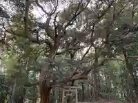惣社八幡宮の鳥居